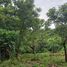  Land for sale in Santo Domingo, Heredia, Santo Domingo