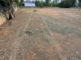  Land for sale in Mueang Chiang Rai, Chiang Rai, Rop Wiang, Mueang Chiang Rai