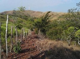  Land for sale in Panama, La Laguna, Calobre, Veraguas, Panama