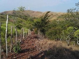  Land for sale in La Laguna, Calobre, La Laguna