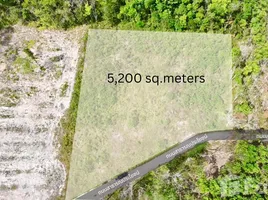  Land for sale in Ao Nang, Krabi, Ao Nang, Mueang Krabi