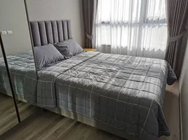 1 Bedroom Condo for rent at KnightsBridge Prime On Nut, Phra Khanong Nuea