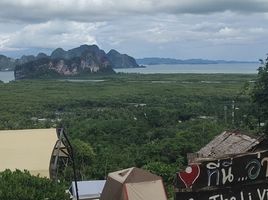  Grundstück zu verkaufen in Takua Thung, Phangnga, Khlong Khian, Takua Thung