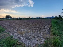  Grundstück zu verkaufen in Pak Tho, Ratchaburi, Don Sai, Pak Tho, Ratchaburi