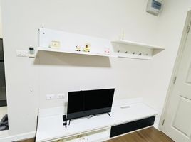 1 Bedroom Apartment for rent at D Condo Creek, Kathu, Kathu, Phuket
