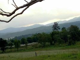  Grundstück zu verkaufen in Mae Taeng, Chiang Mai, Sop Poeng, Mae Taeng