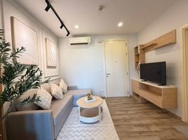ขายคอนโด 1 ห้องนอน ในโครงการ เดอะ เบส อัพทาวน์, รัษฎา, เมืองภูเก็ต, ภูเก็ต