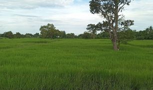 Nok Mueang, Surin တွင် N/A မြေ ရောင်းရန်အတွက်