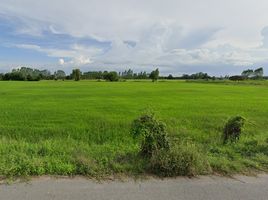  Grundstück zu verkaufen in Sam Chuk, Suphan Buri, Ban Sa, Sam Chuk