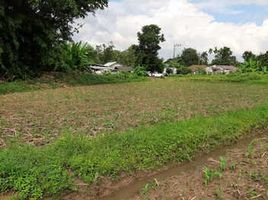  Land for sale in Mae Rai, Mae Chan, Mae Rai