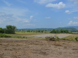 Land for sale in Chiang Rai, Tha Khao Plueak, Mae Chan, Chiang Rai