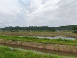  Land for sale in Chiang Dao, Chiang Mai, Chiang Dao, Chiang Dao