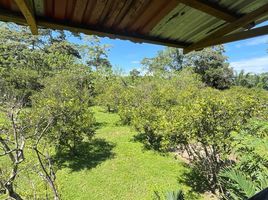  Land for sale in Atlantida, La Ceiba, Atlantida