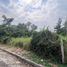  Land for sale in Mueang Lampang, Lampang, Chomphu, Mueang Lampang