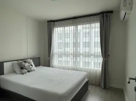คอนโด 2 ห้องนอน ให้เช่า ในโครงการ ดีคอนโดซายด์, ฟ้าฮ่าม