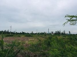  Land for sale in Lat Bua Luang, Phra Nakhon Si Ayutthaya, Sam Mueang, Lat Bua Luang