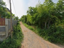  Grundstück zu verkaufen in Phu Kradueng, Loei, Si Than, Phu Kradueng, Loei