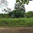  Land for sale in Hojancha, Guanacaste, Hojancha