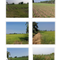  Land for sale in Ta Khit, Banphot Phisai, Ta Khit