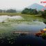  Grundstück zu verkaufen in Tha Muang, Kanchanaburi, Rang Sali