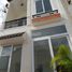 4 Schlafzimmer Villa zu verkaufen in District 7, Ho Chi Minh City, Phu Thuan