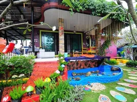 16 Schlafzimmer Hotel / Resort zu verkaufen in San Sai, Chiang Mai, San Pa Pao