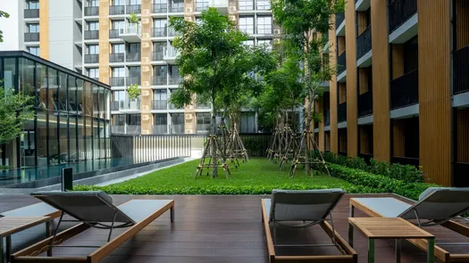 Photos 2 of the Communal Garden Area at Noble Ambience Sukhumvit 42