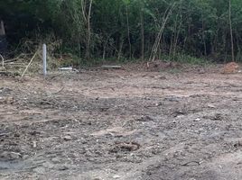  Land for sale in Chomphu, Mueang Lampang, Chomphu