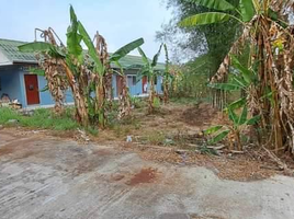  Land for sale in Thalang, Phuket, Pa Khlok, Thalang