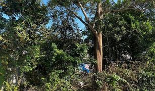 N/A Land for sale in Khuan Lang, Songkhla 