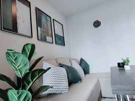1 Bedroom Condo for rent at Elio Del Nest, Bang Na, Bang Na, Bangkok, Thailand