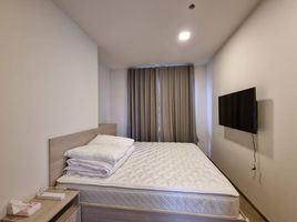 1 Bedroom Condo for rent at NIA By Sansiri, Phra Khanong Nuea