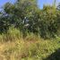  Land for sale in Loei, Tha Li, Tha Li, Loei