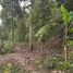  Land for sale in Sawan, Buleleng, Sawan