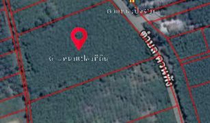 N/A Land for sale in Khuan Phang, Nakhon Si Thammarat 