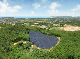  Grundstück zu verkaufen in Thalang, Phuket, Choeng Thale, Thalang