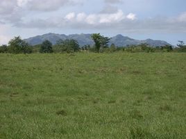  Land for sale in Panama, San Carlos, San Carlos, Panama Oeste, Panama