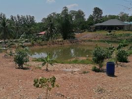  Grundstück zu verkaufen in Nong Ya Plong, Phetchaburi, Yang Nam Klat Tai