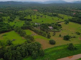  Land for sale in Khi Lek, Mae Taeng, Khi Lek