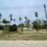  Land for sale in Maenam, Koh Samui, Maenam