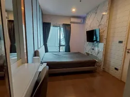 1 Schlafzimmer Wohnung zu vermieten im The Crest Sukhumvit 34, Khlong Tan