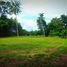  Land for sale in Sikao, Trang, Khao Mai Kaeo, Sikao