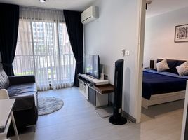 1 Bedroom Condo for rent at ZCAPE III, Wichit