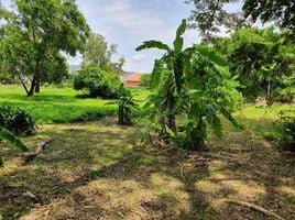  Land for sale in Phuket Town, Phuket, Chalong, Phuket Town