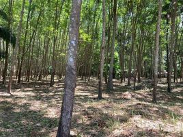  Land for sale in Phangnga, Ko Yao Yai, Ko Yao, Phangnga