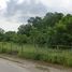  Land for sale in Thao Thep Kasattri Thao Sri Sunthon Monument, Si Sunthon, Si Sunthon