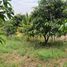  Land for sale in Nakhon Pathom, Don Yai Hom, Mueang Nakhon Pathom, Nakhon Pathom