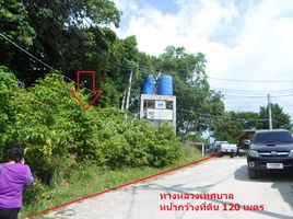  Grundstück zu verkaufen in Ko Pha-Ngan, Surat Thani, Ban Tai