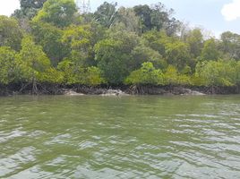  Grundstück zu verkaufen in Ko Lanta, Krabi, Ko Lanta Noi