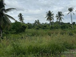  Land for sale in Surat Thani, Makham Tia, Mueang Surat Thani, Surat Thani